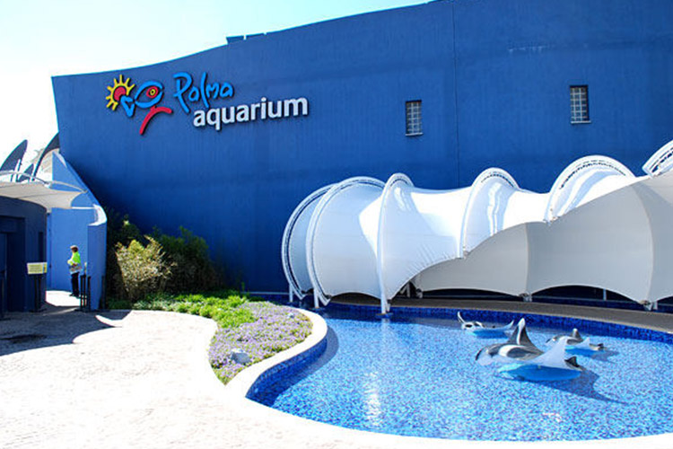 palma aquarium tour